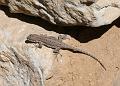 20081027 Walnut Canyon 034